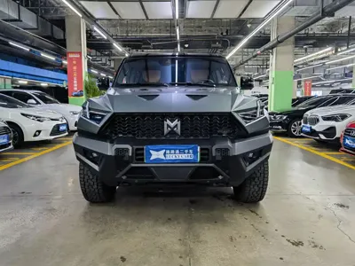 Mengshi Mengshi 917