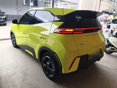 BYD Seagull