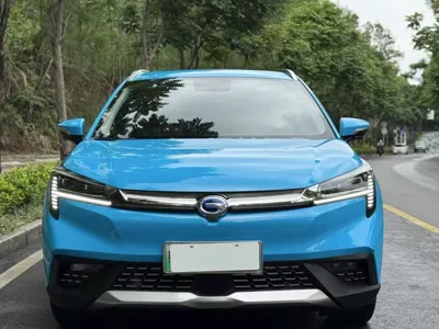 AION LX