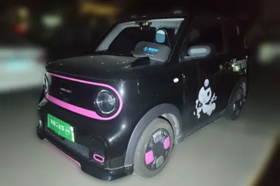Geely Galaxy Panda