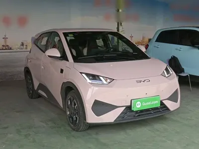 BYD Seagull