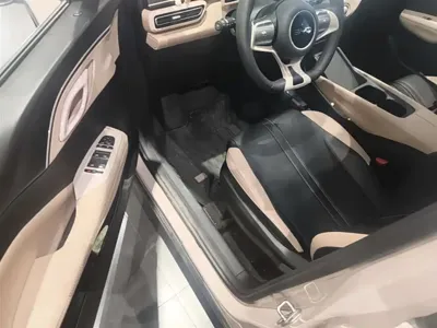 BYD Seagull