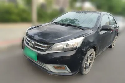 Zotye Z300