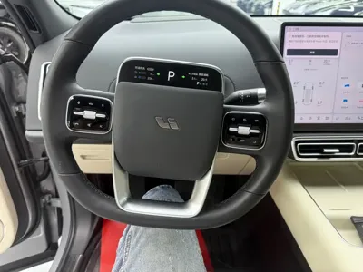 Li Auto Li L7