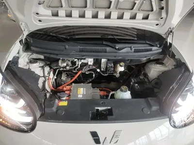 Wuling Bingo