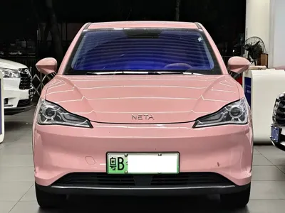 NETA Neta V