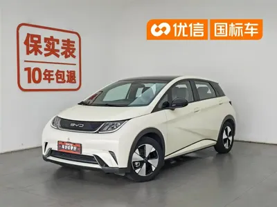 BYD Dolphin
