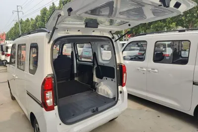 Wuling Zhiguang New Energy