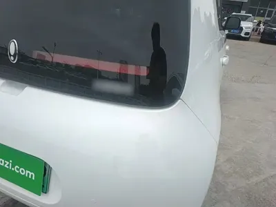 ORA Ora White Cat