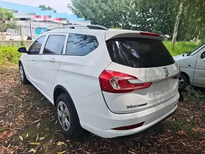 Baojun 310W