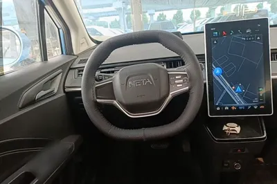 NETA V