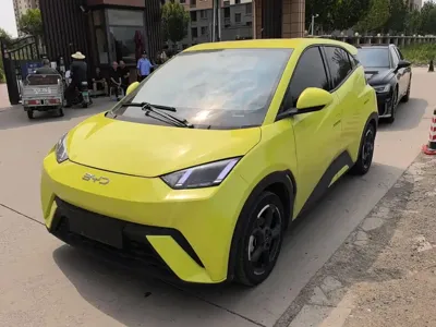 BYD Seagull