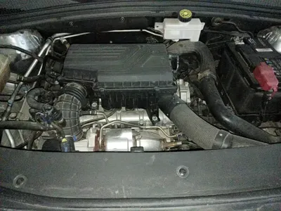 BYD PLUS