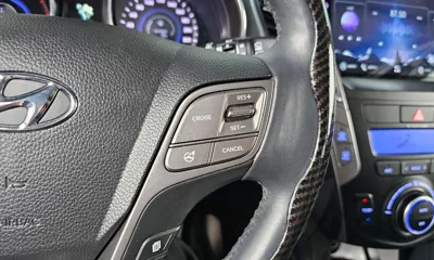Hyundai Maxcruz