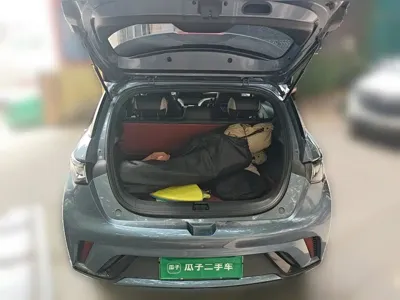BYD Dolphin