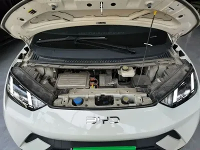 BYD Seagull