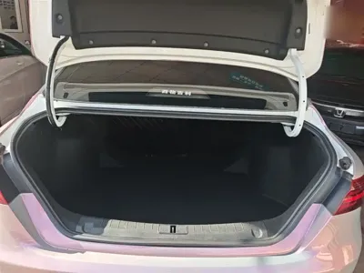 Geely Binrui