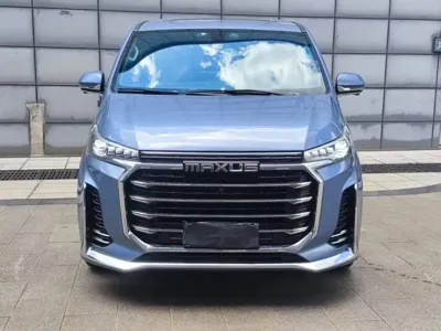 大通 G20