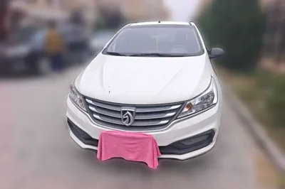 Baojun 310
