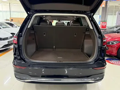 Volkswagen Viloran