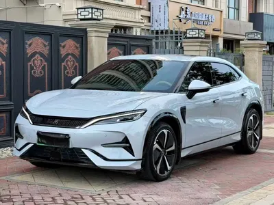 BYD L EV