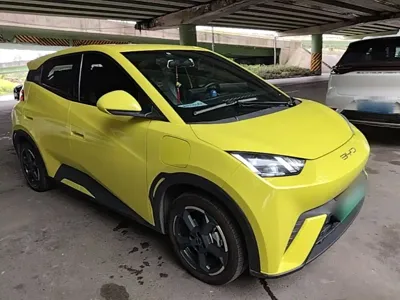 BYD Seagull