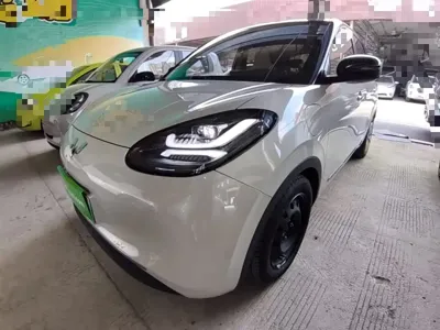 Wuling Bingo