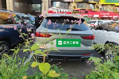 Haval Fierce Dragon Max