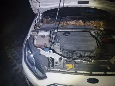 Ford Escort