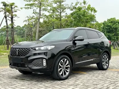 WEY Wey VV6
