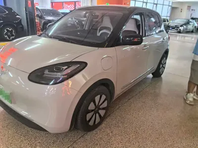 Wuling Bingo