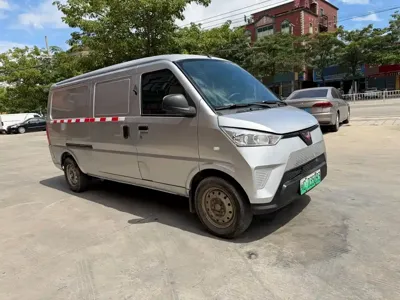 Wuling Wuling EV50