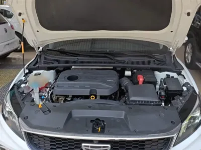 Geely Binrui