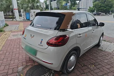 Wuling Bingo