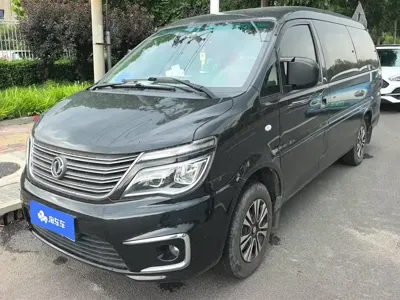 Fengxing Lingzhi
