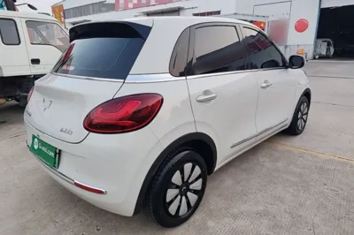 Wuling Bingo