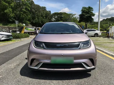 BYD Dolphin