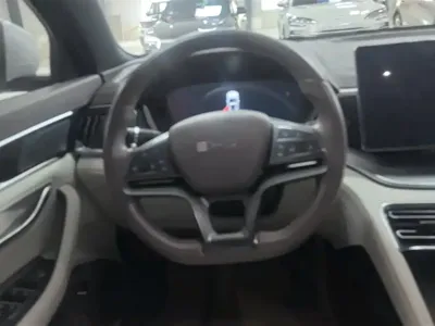 BYD PLUS New Energy