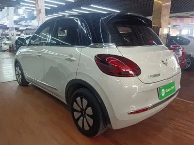 Wuling Bingo