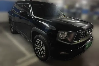 Haval H Dog