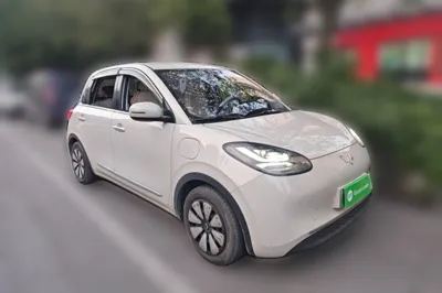 Wuling Bingo