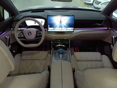 BYD Tang New Energy