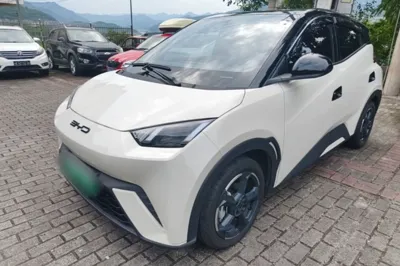 BYD Seagull