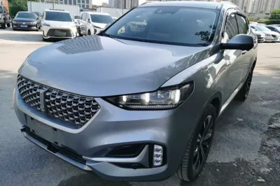 WEY VV6