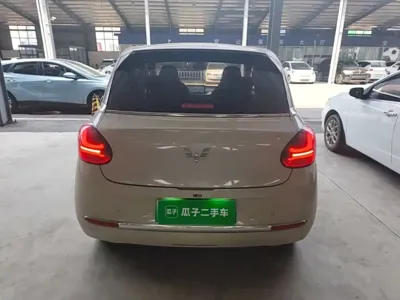Wuling Bingo