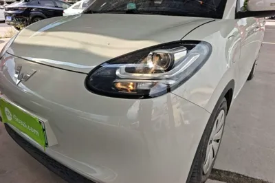 Wuling Bingo