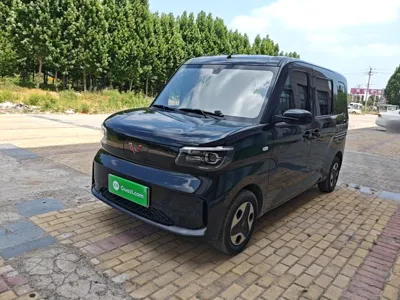 Wuling Zhiguang New Energy