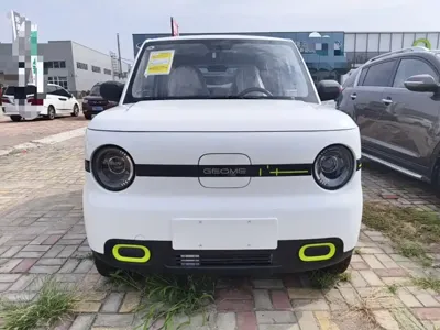 Galaxy Panda