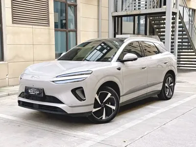 BYD Sealion 06