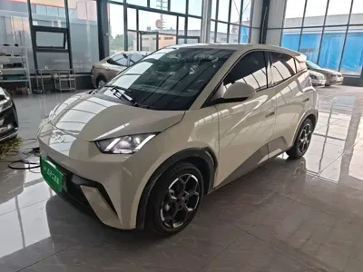 BYD Seagull